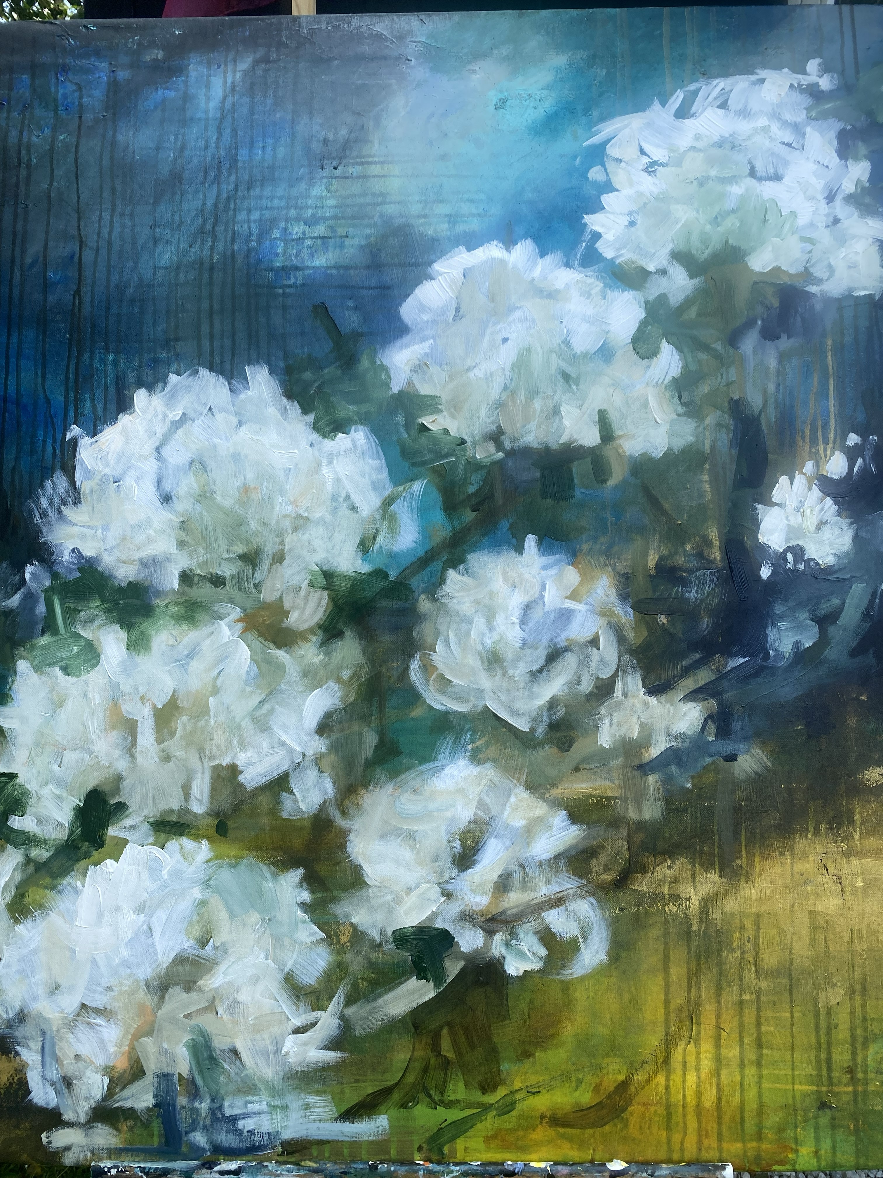 Hortensia och guld